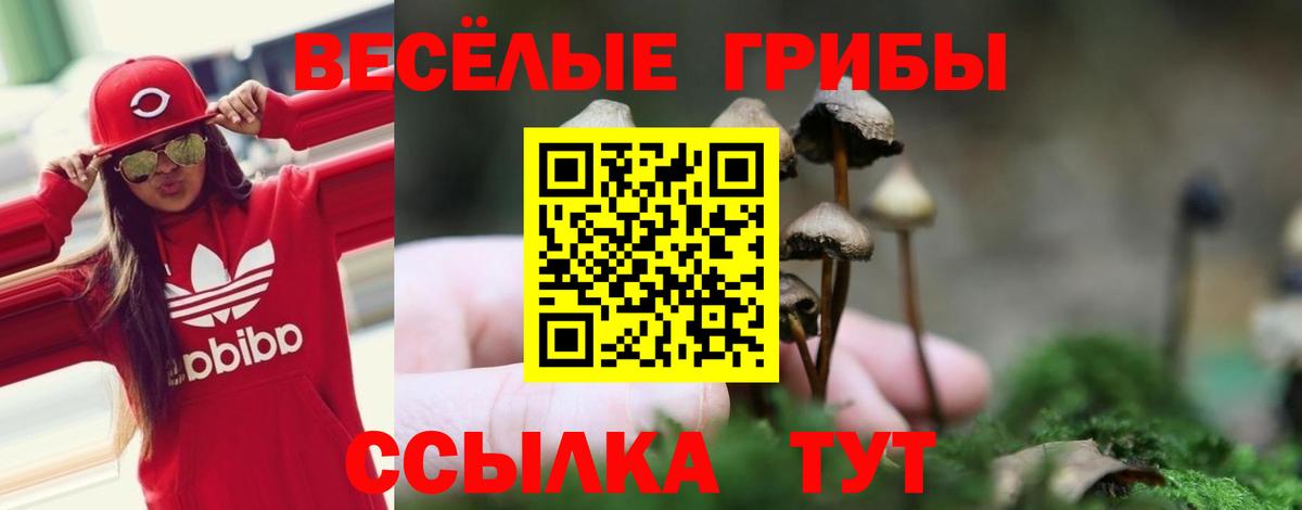 Галлюциногенные грибы мицелий  Вход с VPN  Новороссийск 